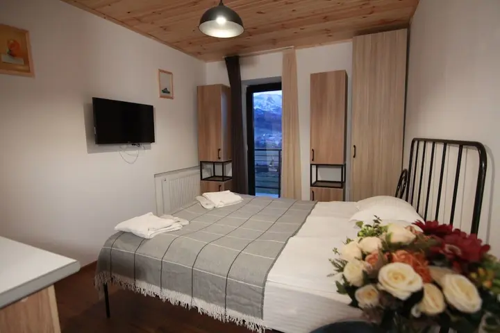 Бакуриани: Hotel Mgzavrebi 11 Th.