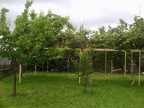 Лагодехи: House in Lagodekhi 1.7km f Lagodekhi Nature Reserve