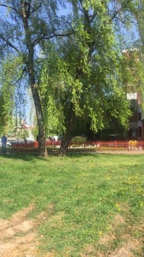 Брест: Apartment on Kirova 133