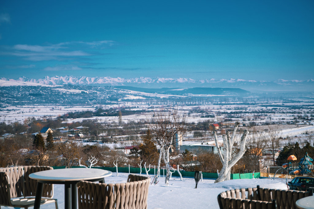Квишхети: Отель Mtserlebi Resort