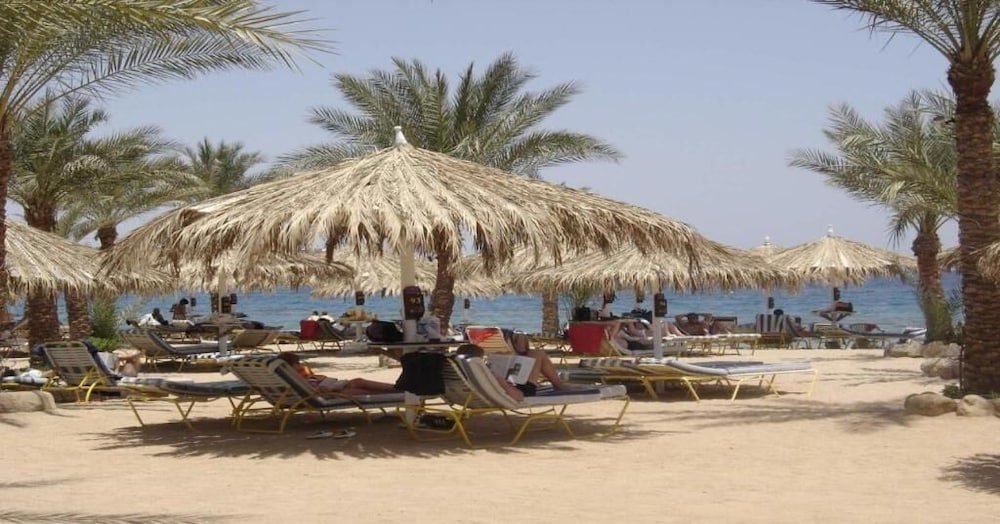 Шарм-эш-Шейх (Шарм-эль-Шейх): Sharm Dreams Vacation Club	