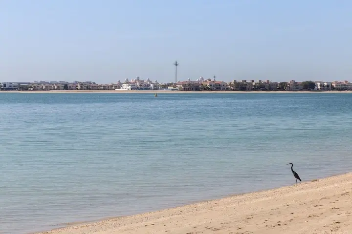 Дубай: Stylish 2BR Apartment by the Beach - The Palm Jumeirah