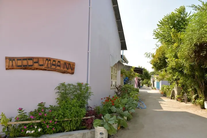 Гураиду (Атолл Каафу): Moodhumaa Inn