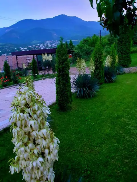 Иджеван: Гостевой дом Ijevan's Garden