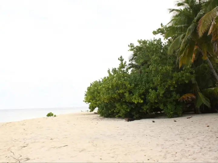 Атолл Алиф-Алиф: Casa Paguro Bodufolhudhoo