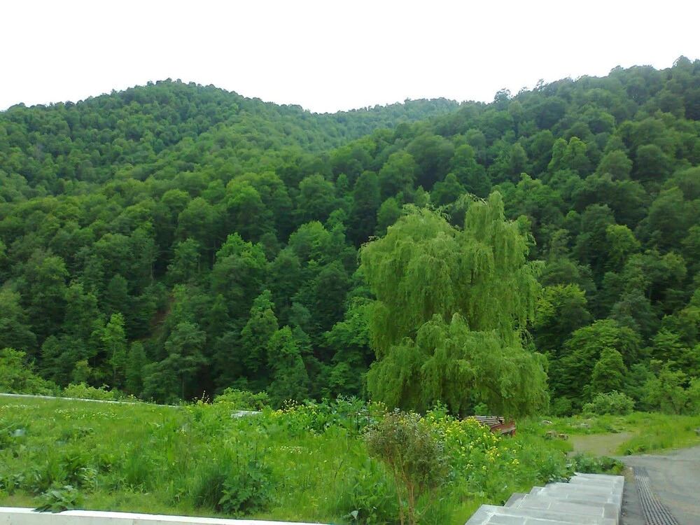 Дилижан: Rest House in Dilijan