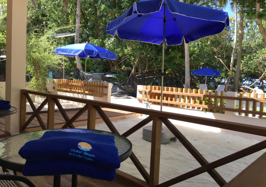 Атолл Алиф-Дхаалу: Ocean Beach Lodge - Maldives