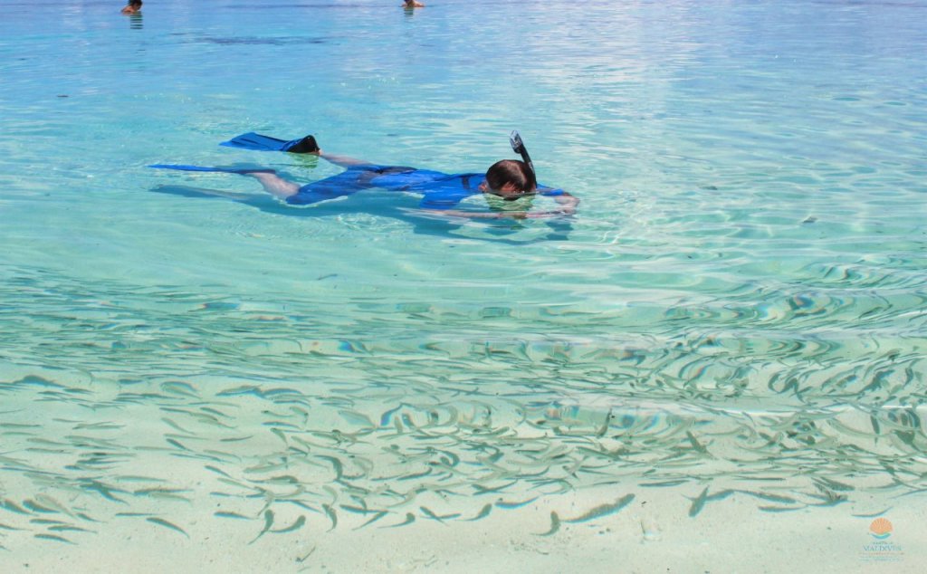 Атолл Алиф-Дхаалу: Ocean Beach Lodge - Maldives