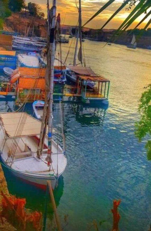 Асуан: Aswan Cozy Apartment.