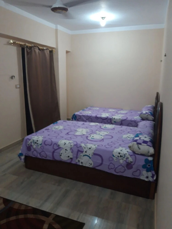 Асуан: Aswan Cozy Apartment.