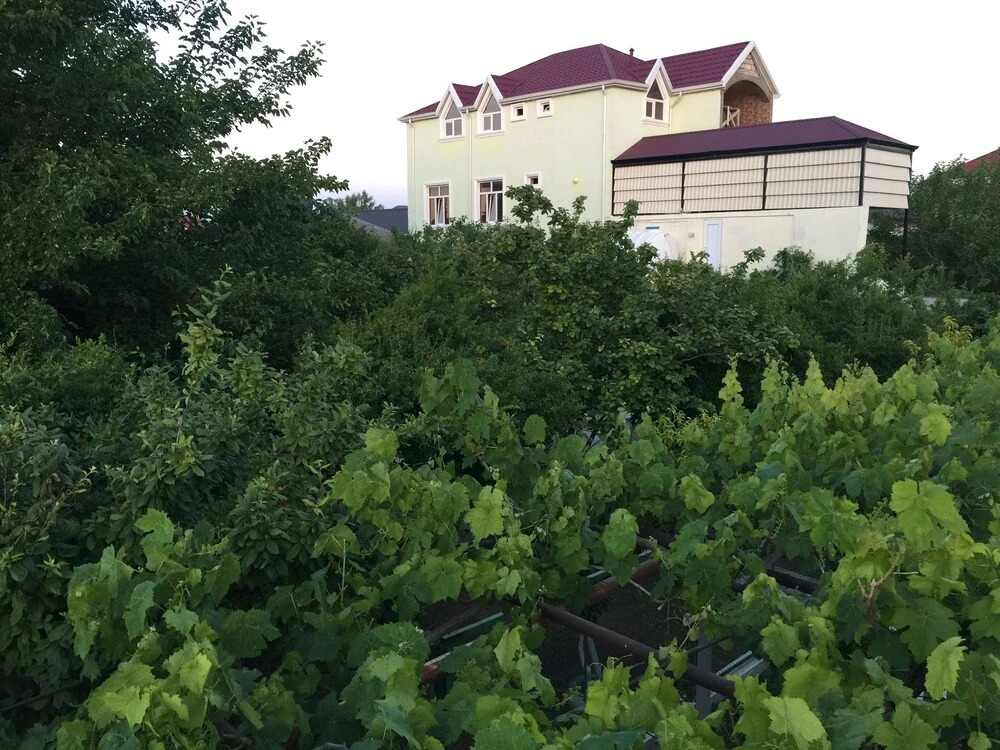 Баку: Отель Hasanovs Villa