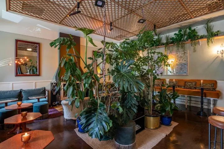 Тбилиси: Отель Communal Hotel Plekhanovi