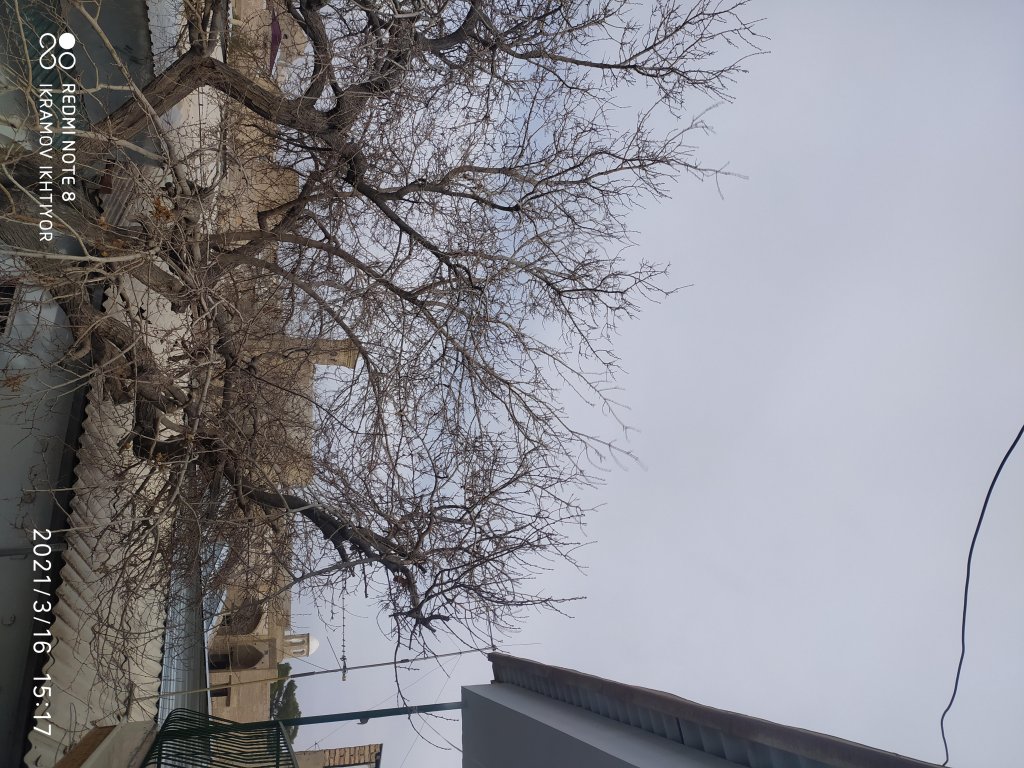 Бухара: Отель Minorai Hurd
