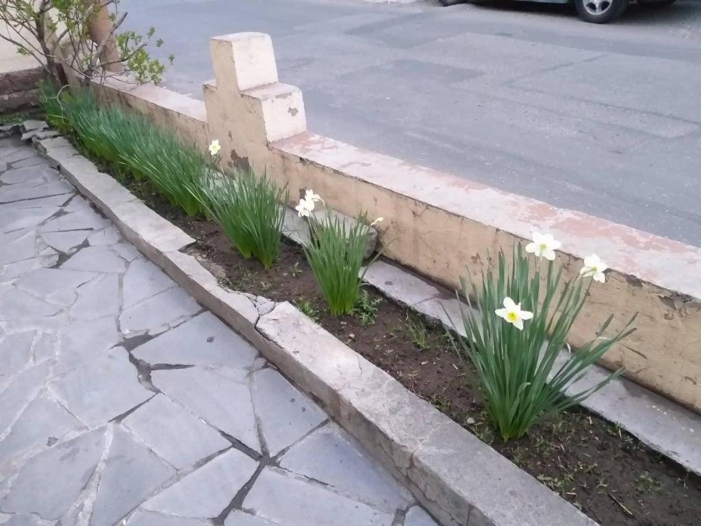 Ереван: Popock City Center