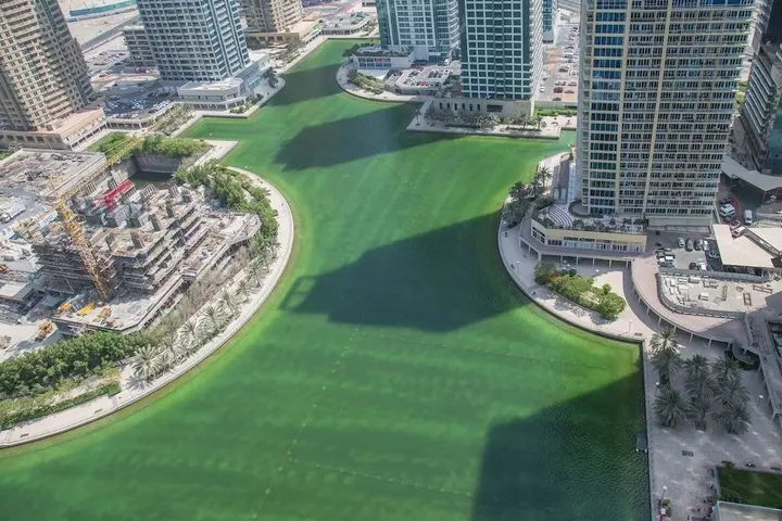 Дубай: Spacious Studio in Heart of JLT