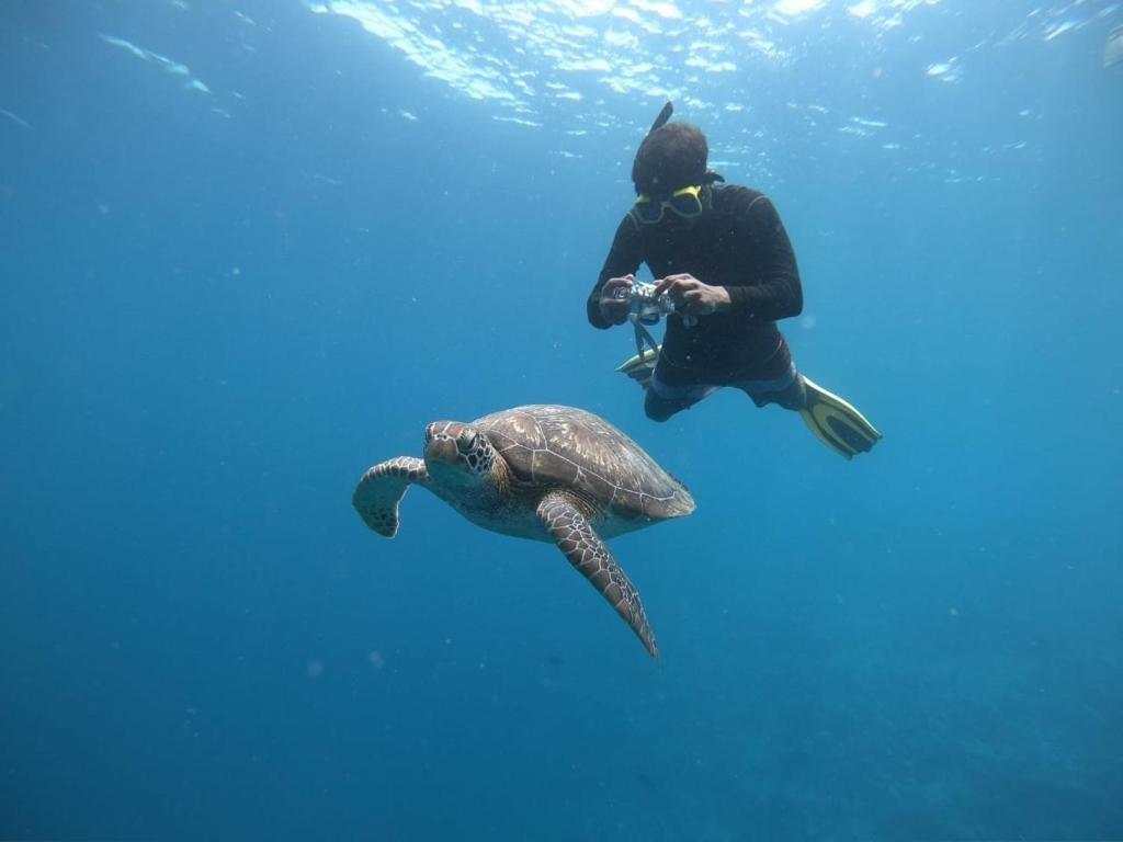 Атолл Алиф-Дхаалу: Hudhuveli Maldives