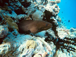 Атолл Алиф-Дхаалу: Hudhuveli Maldives