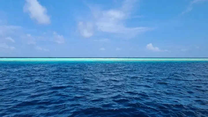 Coral Beach Maldives — фото 2