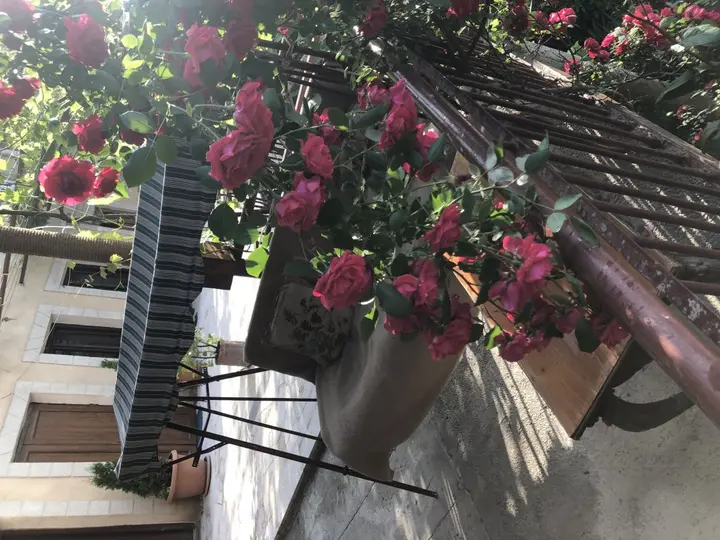 Иджеван: Гостевой дом Guesthouse Anahit Ijevan