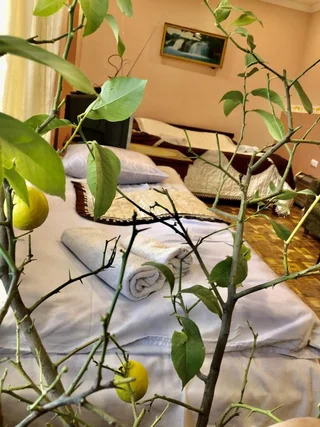 Иджеван: Гостевой дом Guesthouse Anahit Ijevan