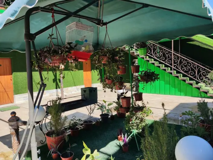 Гостевой дом Green House Hotel — фото 2