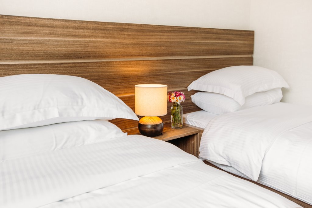 Степанцминда: Hotel Mount Inn Kazbegi