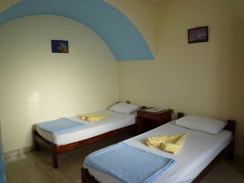 Сант-Катрин: Dolphin Camp