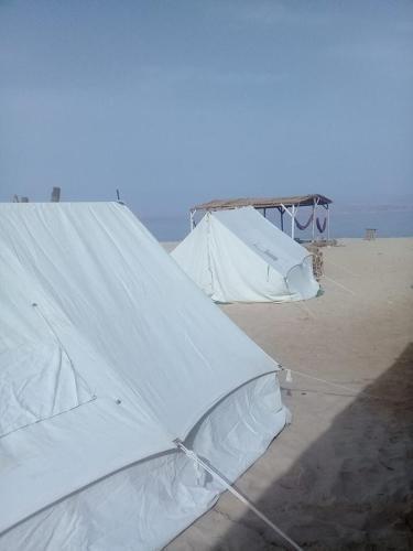 Нувейба: Rossa beach camp