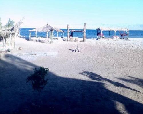 Нувейба: Rossa beach camp