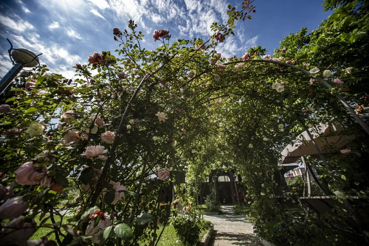 Кобулети: Отель Chveni Ezo Boutique Hotel