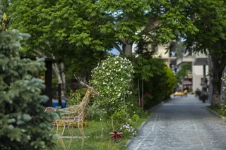 Кобулети: Отель Chveni Ezo Boutique Hotel