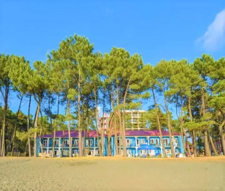 carousel image 0