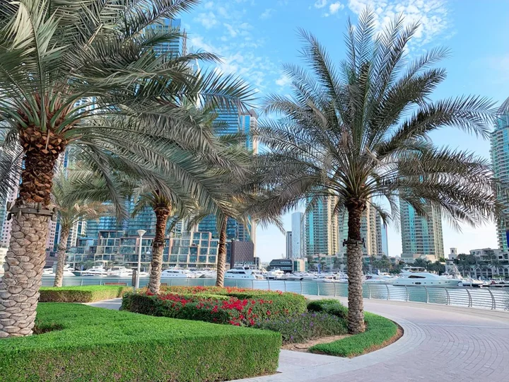 Дубай: Апартаменты Jewellery Homes in Continental Tower Dubai Marina