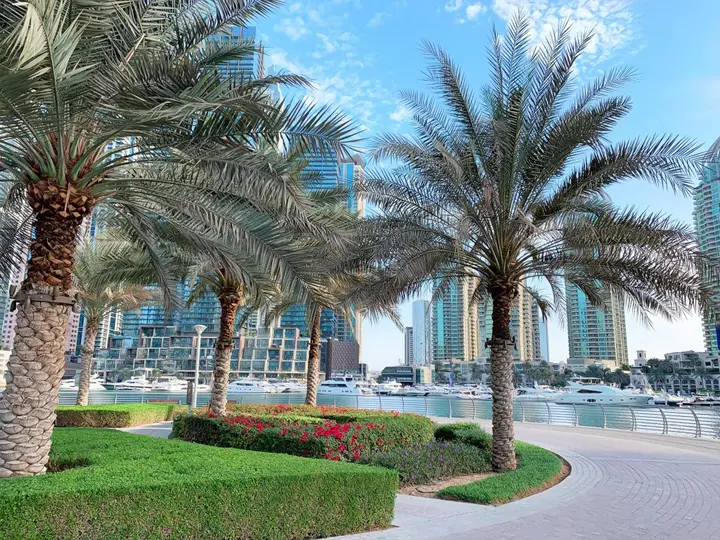 Дубай: Апартаменты Jewellery Homes in Continental Tower Dubai Marina