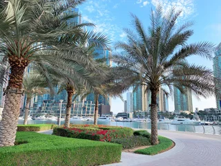 Дубай: Апартаменты Jewellery Homes in Continental Tower Dubai Marina