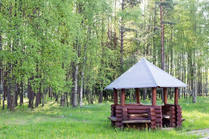 Наносы: Chajka