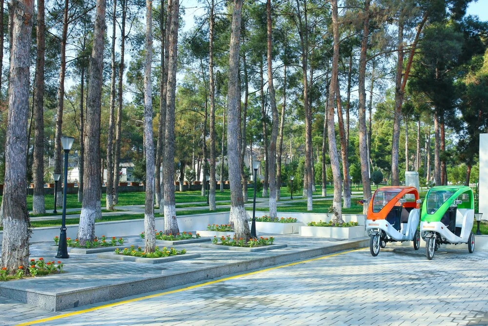 Нафталан: Park Naftalan