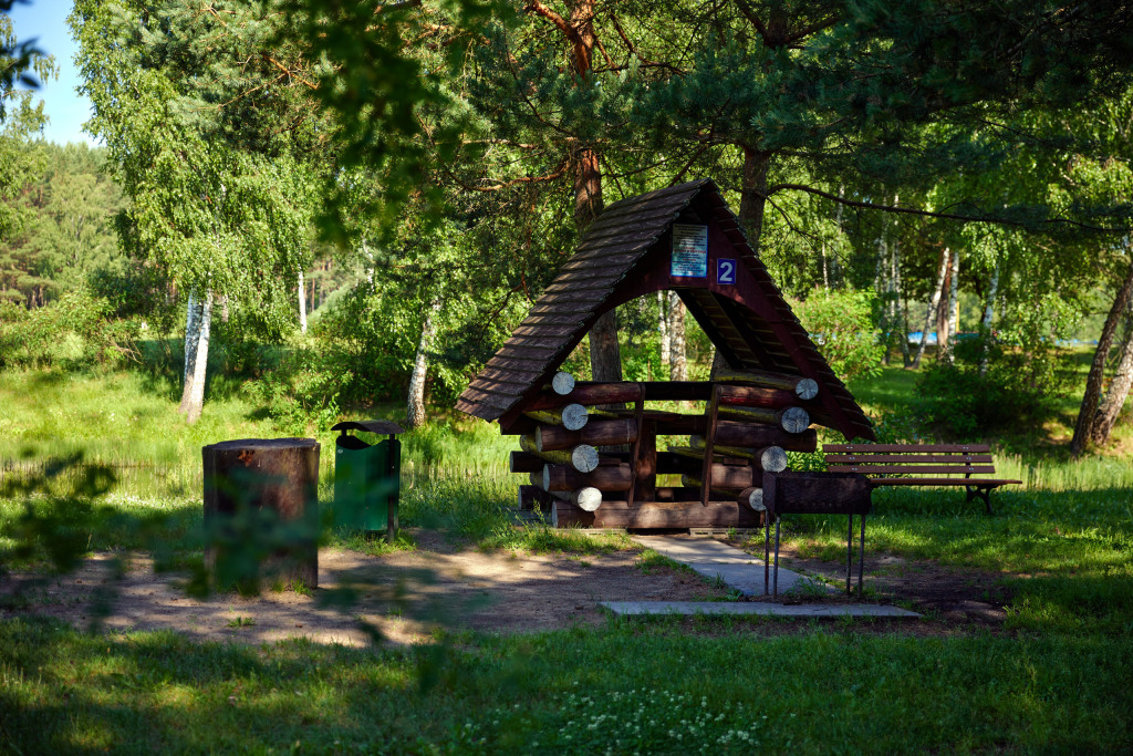 Молодечно: Sosnovyj bor, Minskaja oblast'