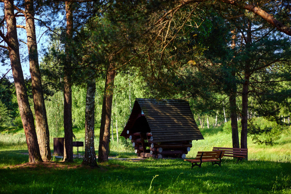 Молодечно: Sosnovyj bor, Minskaja oblast'