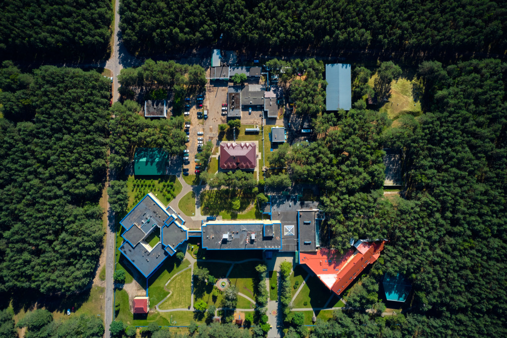 Молодечно: Sosnovyj bor, Minskaja oblast'