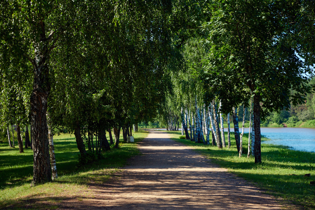 Молодечно: Sosnovyj bor, Minskaja oblast'