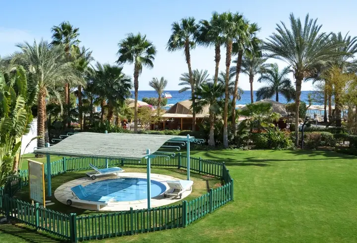 Шарм-эш-Шейх (Шарм-эль-Шейх): Novotel Sharm el Sheikh Beach