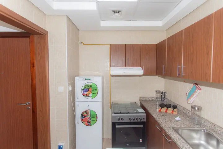Дубай: Lofty apt with panoramic view terrace