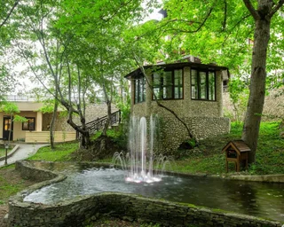 Гымылгазма: Quba Vadi Chalet Hotel