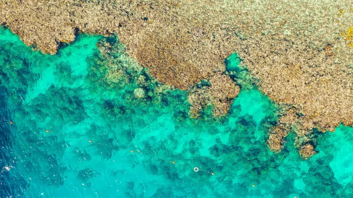 Шарм-эш-Шейх (Шарм-эль-Шейх): Отель Domina Coral Bay