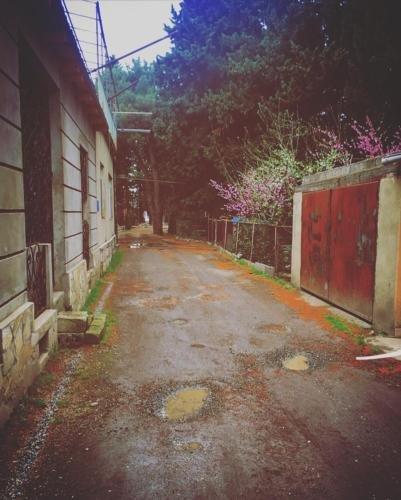 Тбилиси: Tbilisi Hostel