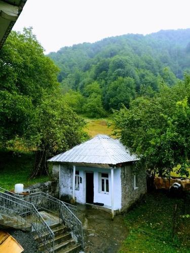 Svaneti. Place in nature for rest — фото 3