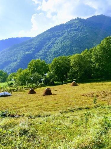 Паки: Svaneti. Place in nature for rest