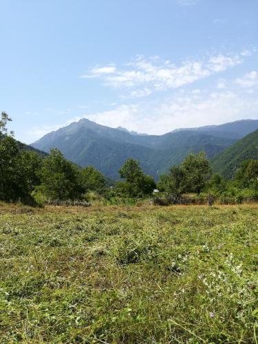 Паки: Svaneti. Place in nature for rest