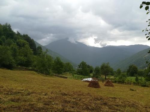Паки: Svaneti. Place in nature for rest
